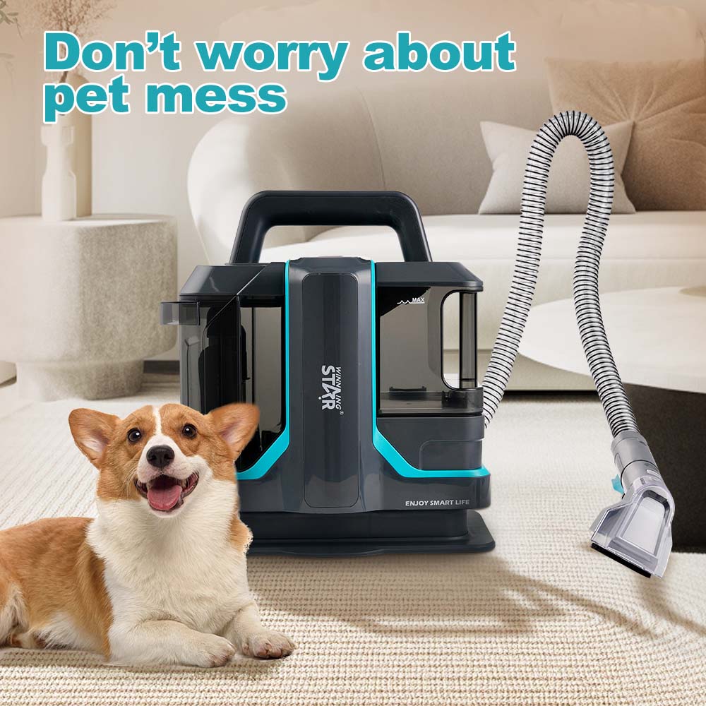 Winning Star Portable Handheld Corded Cleaning Machine ST-4600 - Image 4
