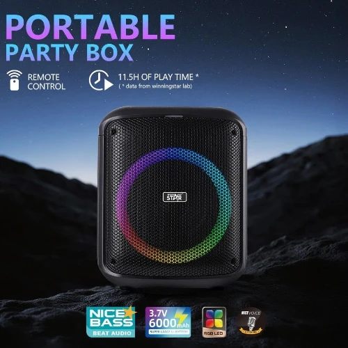 Winning Star ST-8101 Portable Speaker - Image 2
